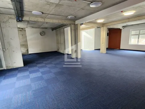 Izdavanje, poslovni prostor, 700m², Zabjelo, Podgorica - image 18