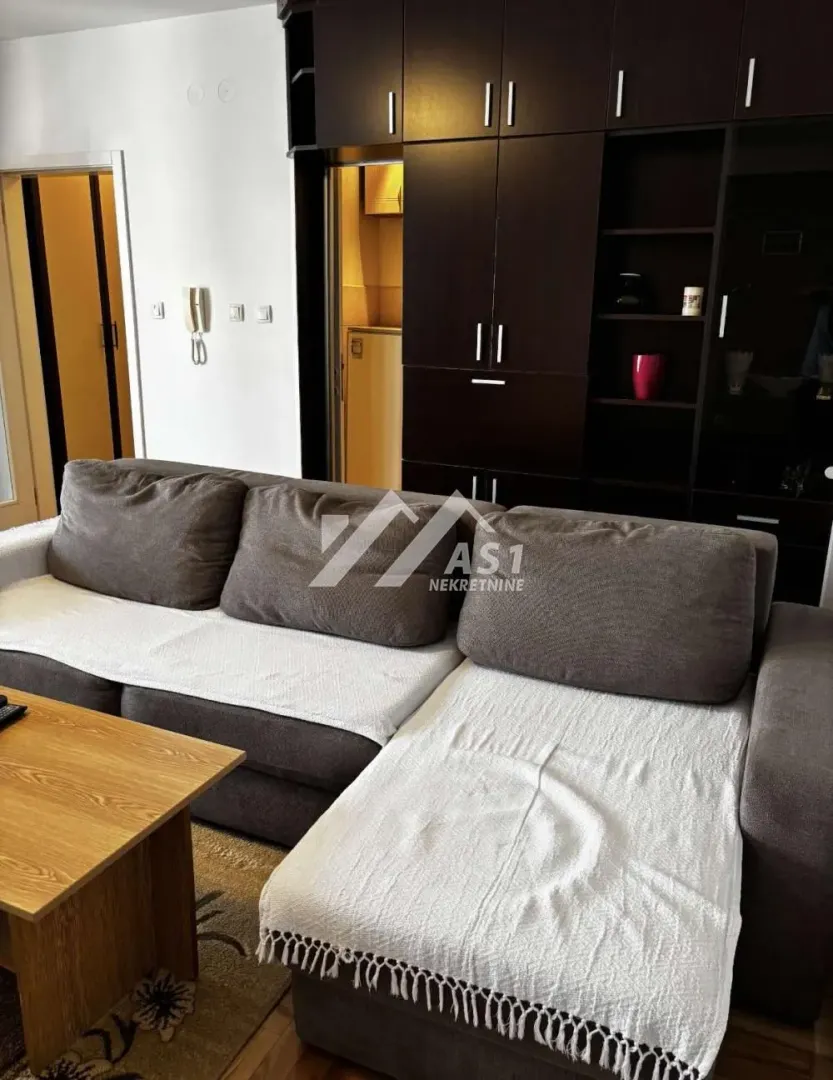 Living room with a sectional sofa and a large wardrobe.