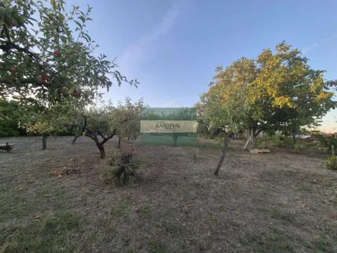 Prodaja, plac, 27920m², Siokovac, Jagodina - image 18