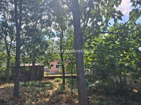 Pogled kroz drveće na dvorište i kuću. - image 14