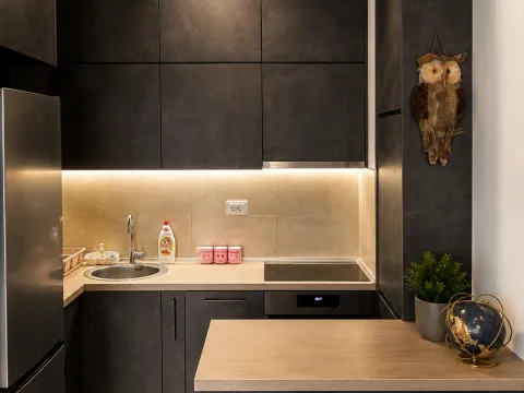 Rent, one bedroom apartment, 44m², City Kej, Podgorica - image 3