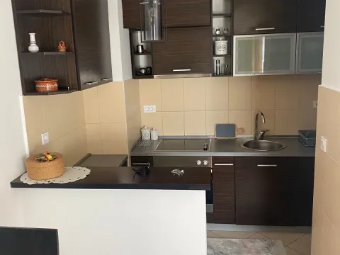 Rent, one bedroom apartment, 52m², Preko Morače, Podgorica - image 6