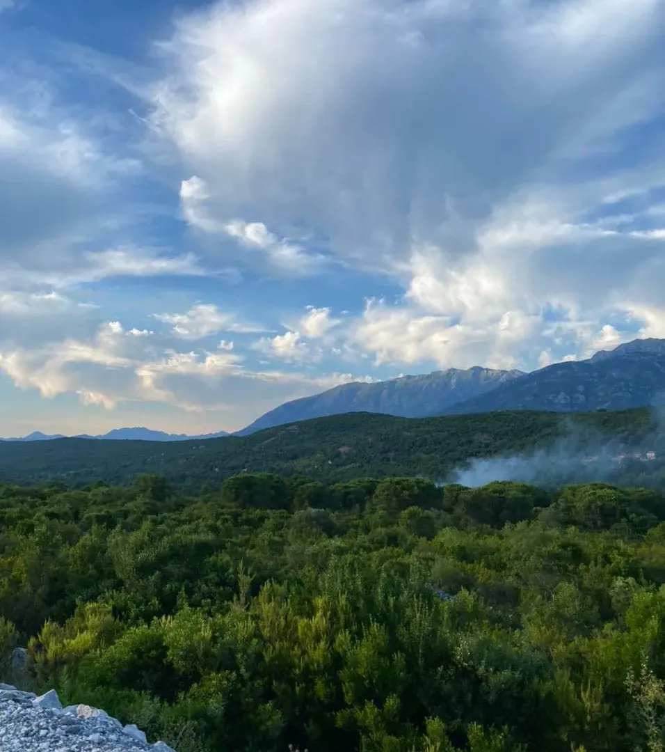 Sale, house, 65m², Kovači, Kotor