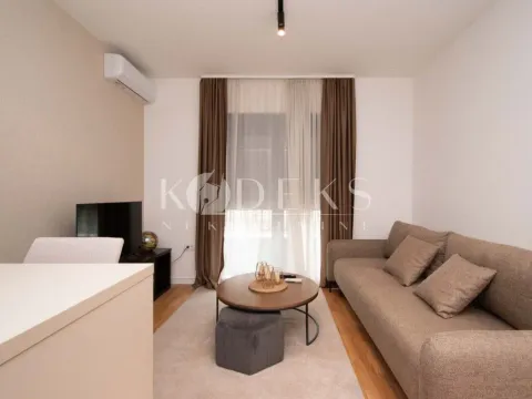 Izdavanje, garsonjera, 26m², Zagorič, Podgorica - image 5