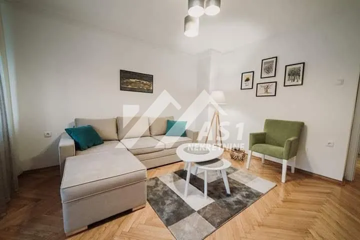 Izdavanje, dvosoban stan, 50m², Centar, Novi Sad