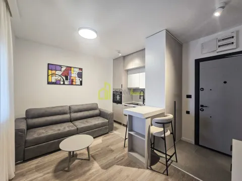 Rent, studio apartment, 22m², Zabjelo, Podgorica - image 1