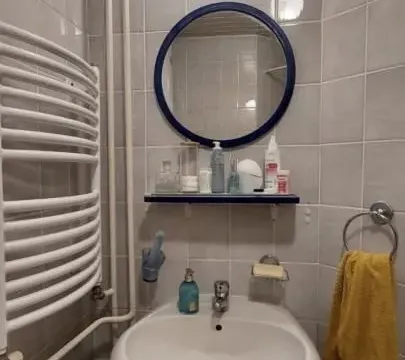 Rent, studio apartment, 30m², Socijalno, Novi Sad Sve Podlokacije - image 5