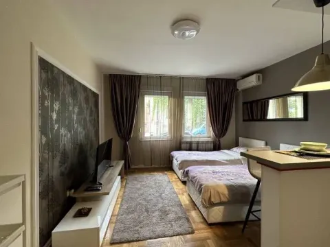 Rent, one bedroom apartment, 25m², Vračar Sve Podlokacije, Beograd - image 4