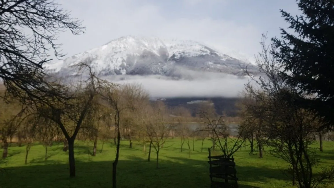 Prodaja, plac, 1750m², Vojno Selo, Plav