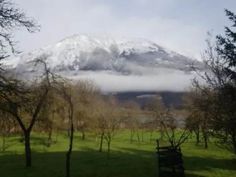 Sale, land lot, 1750m², Vojno Selo, Plav - image 10