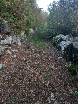 Zarasli zemljani put oivičen kamenim međama i bujnim rastinjem. - image 3