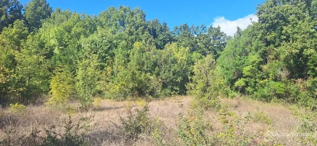 Sale, land lot, 1300m², Utjeha, Bar