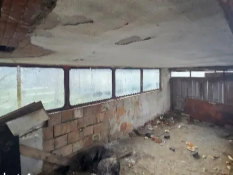 Prodaja, kuća, 128m², Begeč, Novi Sad Sve Podlokacije - image 10