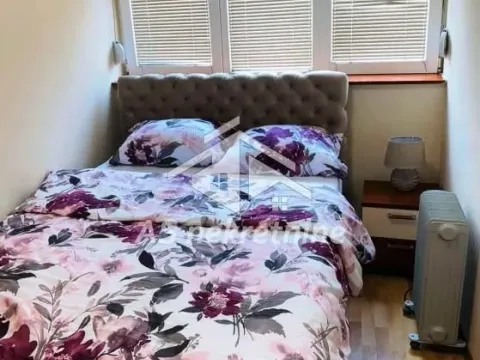 Izdavanje, dvosoban stan, 48m², Stari Grad, Beograd - image 5