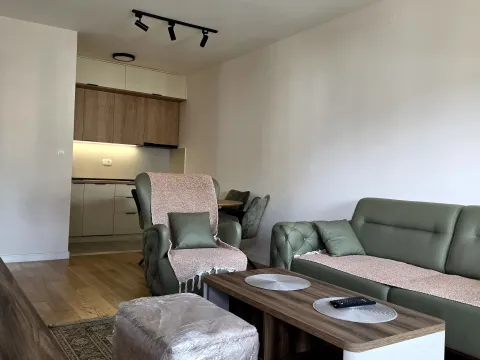 Rent, one bedroom apartment, 49m², Central Point, Podgorica - image 5