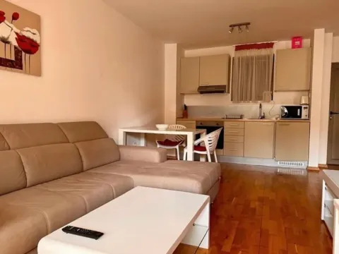 Sale, one bedroom apartment, 47m², Pržno, Budva - image 9