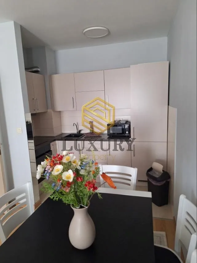 Izdavanje, jednosoban stan, 46m², City Kvart, Podgorica