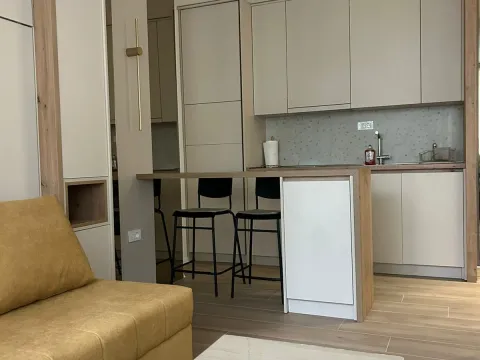 Izdavanje, stan, 24m², Preko Morače, Podgorica - image 13