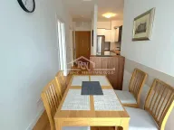 Izdavanje, dvosoban stan, 52m², Novi Beograd Sve Podlokacije, Beograd - image 8