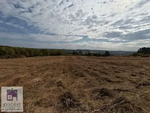 Pogled na prostrano poljoprivredno zemljište pod oblačnim nebom. - image 2