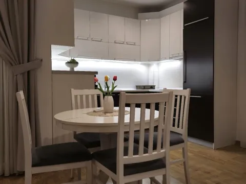 Rent, one bedroom apartment, 46m², Nova Dalmatinska, Podgorica - image 8