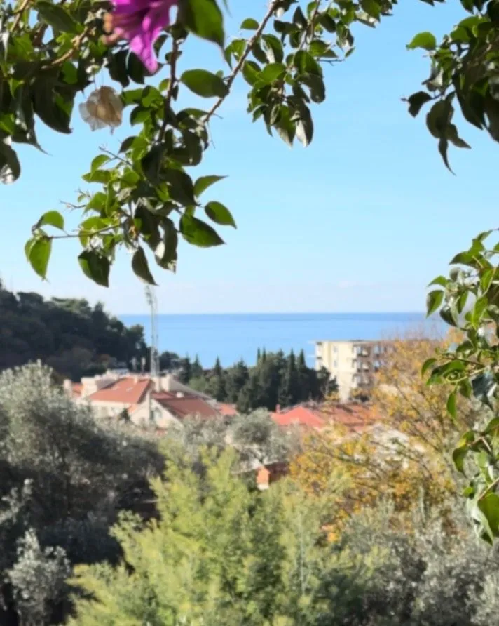 Prodaja, dvosoban stan, 58m², Petrovac, Budva