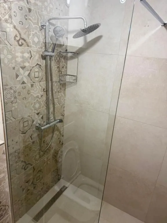 Modern shower cabin with a glass partition and decorative tiles.
