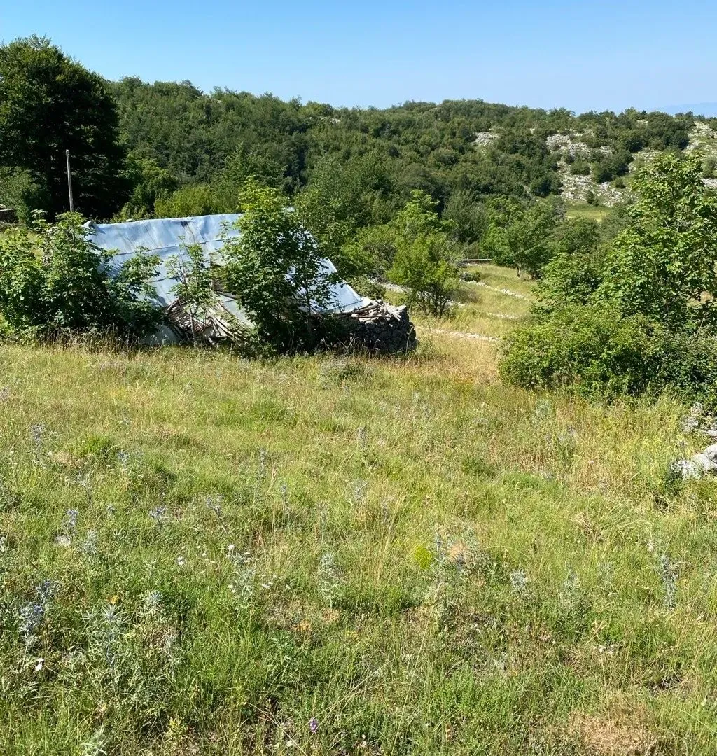Sale, land lot, 30000m², Kuči, Podgorica