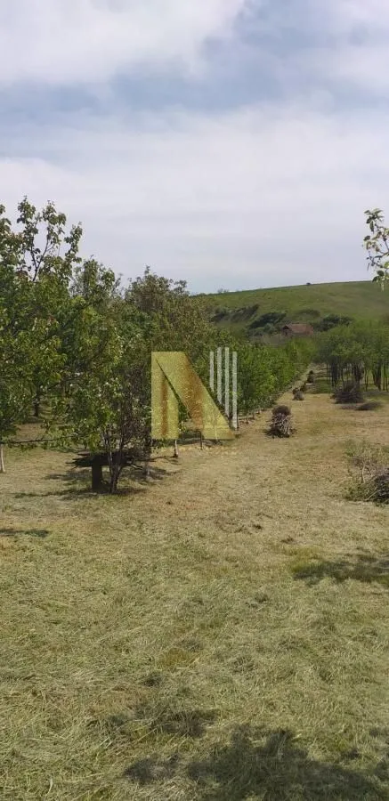 Prodaja, kuća, 65m², Čortanovci, Inđija
