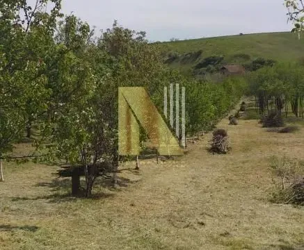 Prodaja, kuća, 65m², Čortanovci, Inđija - image 13