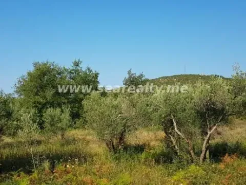 Prodaja, plac, 5600m², Krimovica, Kotor - image 5