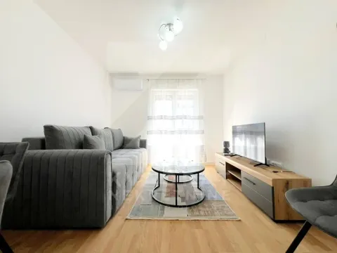 Rent, one bedroom apartment, 42m², Stari Aerodrom, Podgorica - image 2