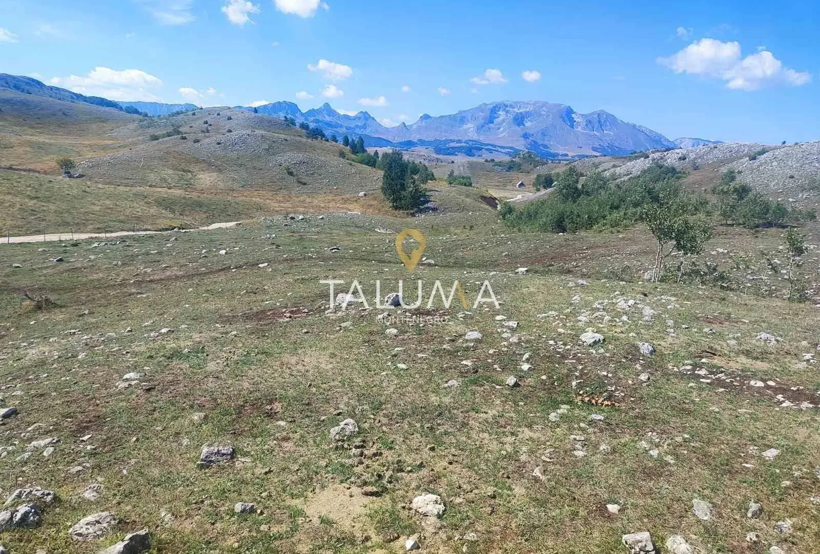 Prodaja, plac, 65000m², Žabljak, Crna Gora