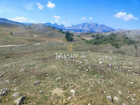 Prodaja, plac, 65000m², Žabljak, Crna Gora - image 3