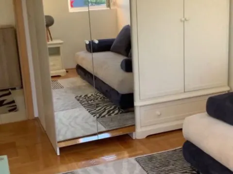 Izdavanje, jednosoban stan, 45m², Stari Aerodrom, Podgorica - image 2