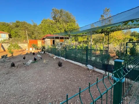 Ograđeno dvorište sa baštom i kokoškama. - image 16