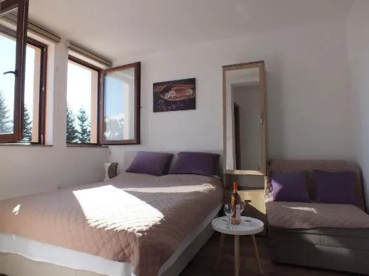 Sale, studio apartment, 18m², Brzeće, Kopaonik