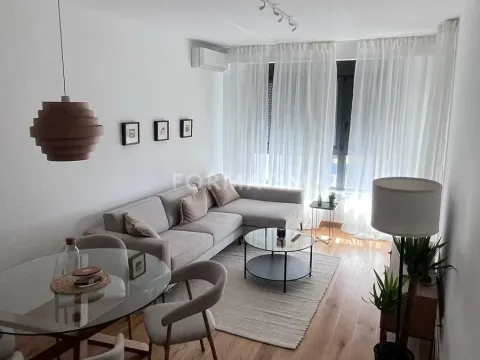 Izdavanje, dvosoban stan, 49m², Centar Sve Podlokacije, Beograd - image 6