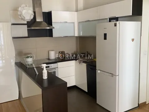 Izdavanje, jednosoban stan, 43m², Zvezdara Sve Podlokacije, Beograd - image 4