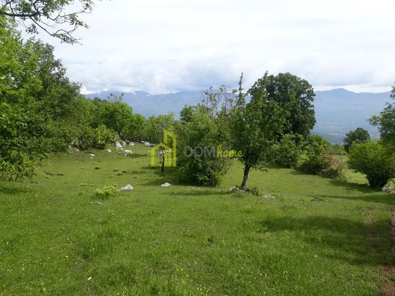 Prodaja, plac, 42349m², Zagreda, Danilovgrad