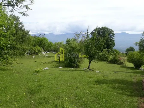 Sale, land lot, 42349m², Zagreda, Danilovgrad - image 9