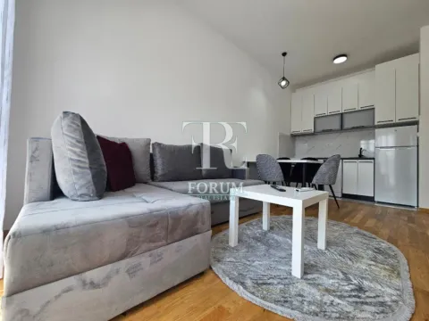 Izdavanje, jednosoban stan, 40m², Zabjelo, Podgorica - image 3