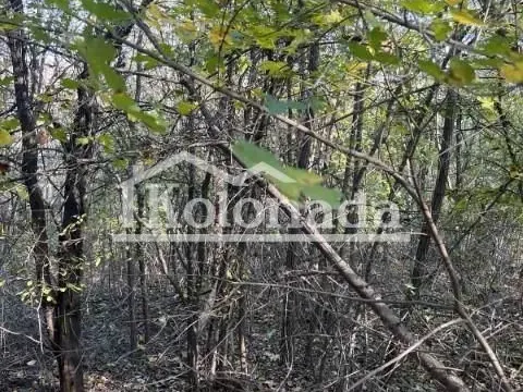 Sale, land lot, 8235m², Babe, Sopot - image 4