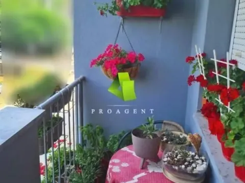 Sale, three bedroom apartment, 82m², Palilula, Niš - image 15