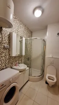 Bathroom equipped with a shower cabin, washbasin, toilet, and washing machine. - image 6