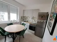 Izdavanje, dvosoban stan, 55m², Profesorska Kolonija, Palilula Sve Podlokacije - image 4