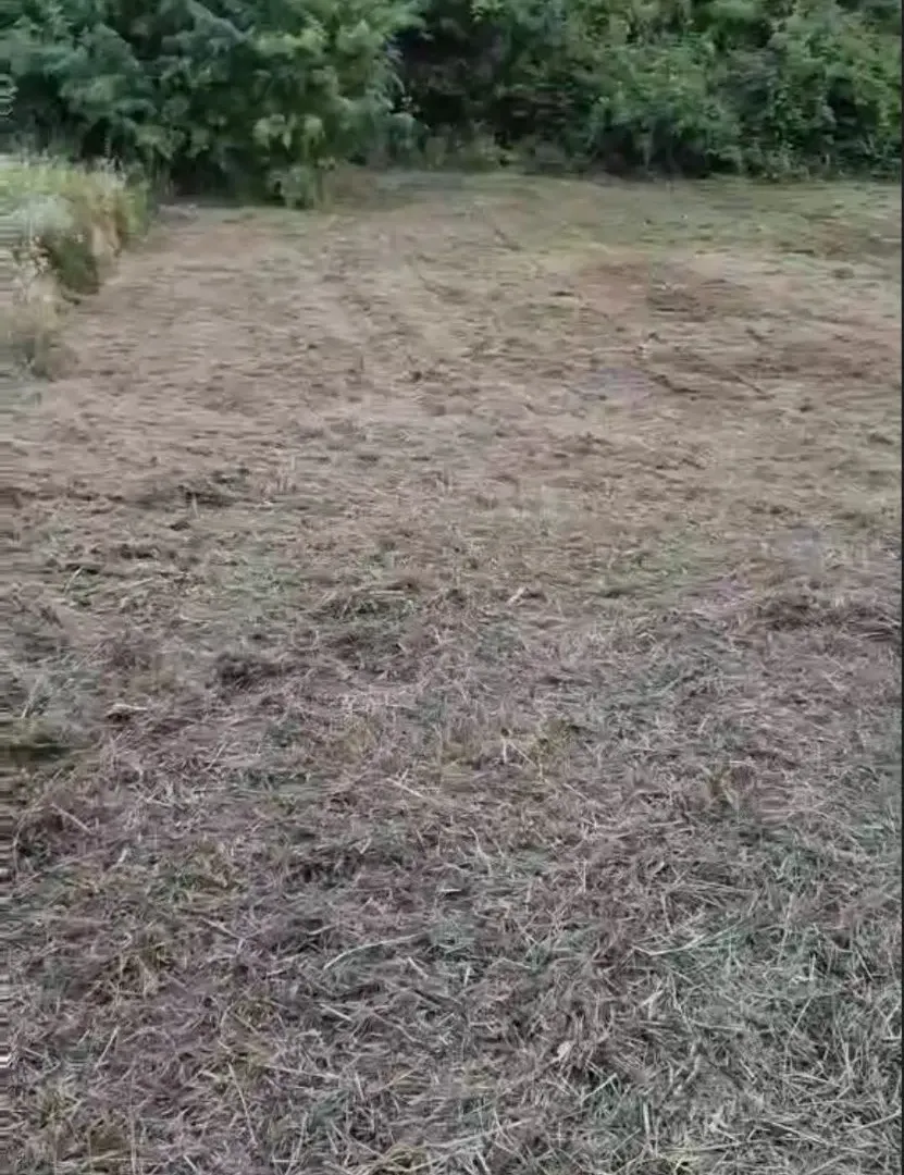 Prodaja, plac, 454m², Karagača, Petrovaradin