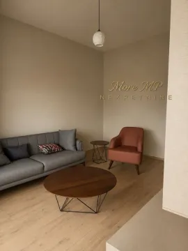 Dnevna soba sa sivom sofom, crvenom foteljom i drvenim stočićem. - image 4