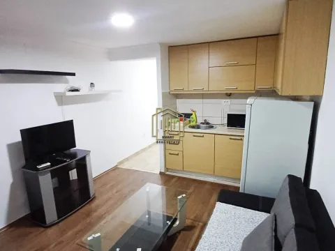Izdavanje, dvosoban stan, 40m², Gintaš, Podgorica - image 6