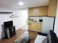 Izdavanje, dvosoban stan, 40m², Gintaš, Podgorica - image 6